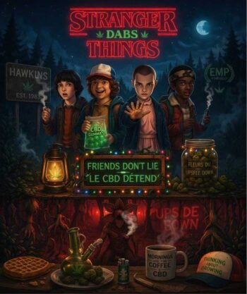 visuel-pochon-stranger-things